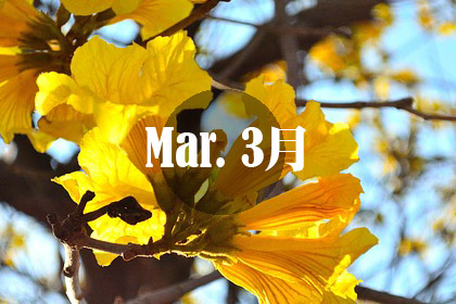 3月花季賞花