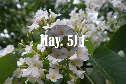 5月花季賞花