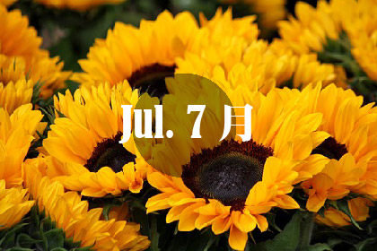 7月花季賞花